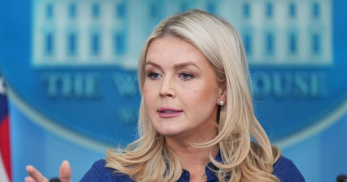 White House Press Secretary Karoline Leavitt dismissed criticism of the Reflecting Pool project and mocked protesters promoting 'Team Algae' in themed costumes (AP Photo/Alex Brandon)