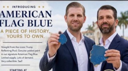 Fact Check: Are Eric and Don Jr Trump selling peeled paint from the Reflecting Pool for $200?