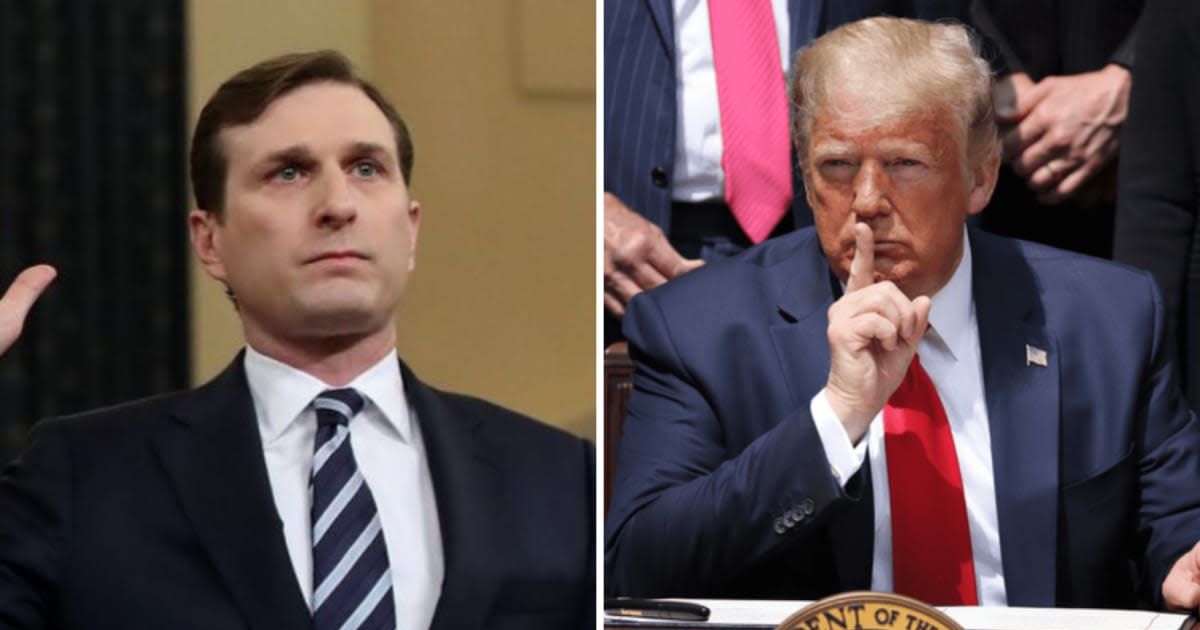 Former New York Congressman Dan Goldman became one of President Donald Trump's fiercest congressional critics, repeatedly clashing with him over impeachment, oversight, and constitutional issues (@danielsgoldman/X, Getty Images)