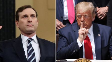 Trump mocks 'wandering' Dan Goldman, says ex-congressman is chasing a political comeback