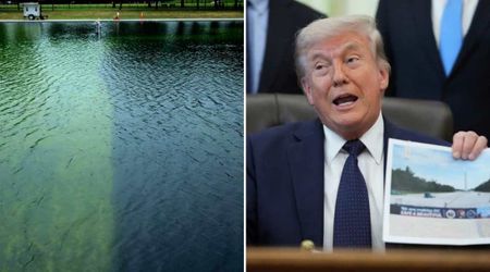 Police says Reflecting Pool was cut with knife or razor after Trump claimed knife can't cut it