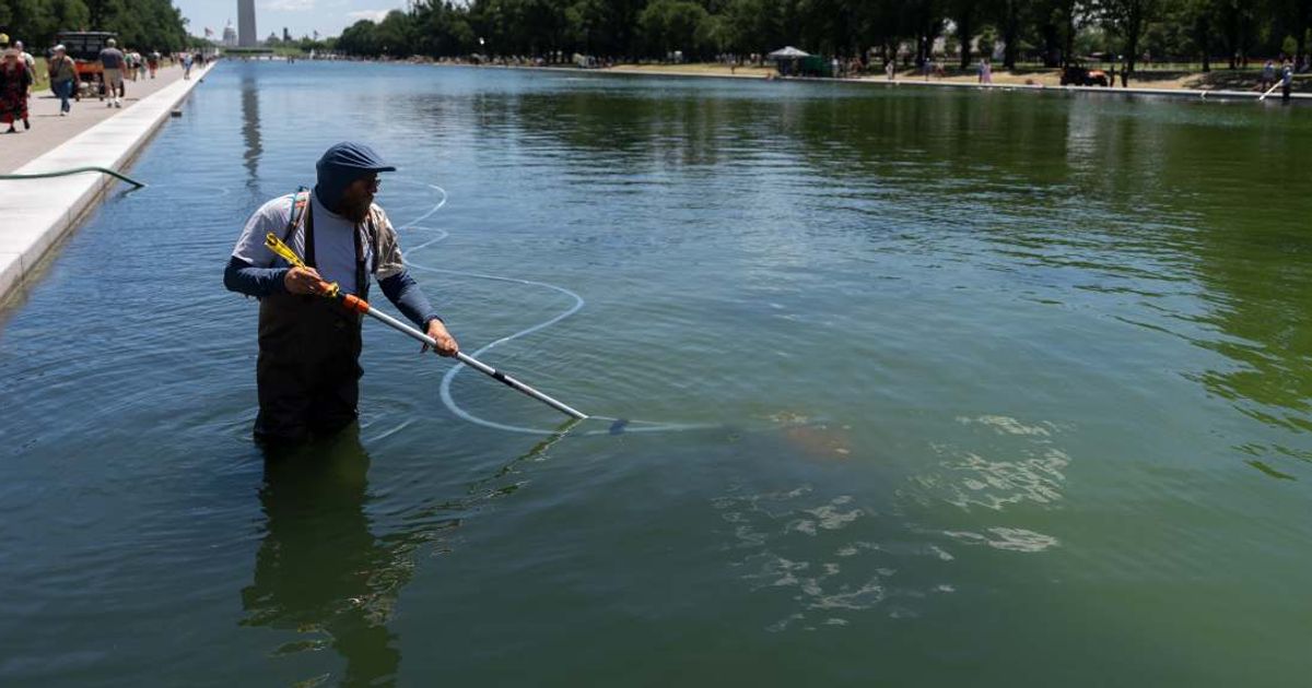 A National Park Service employee uses a vacuum to clean the Lincoln Memorial Reflecting Pool, Saturday, June 20, 2026, in Washington (AP Photo/Mark Schiefelbein)