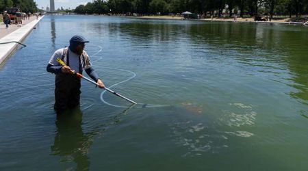 Fact Check: Did Congress probe Trump's Reflecting Pool contractors over $16M algae disaster?