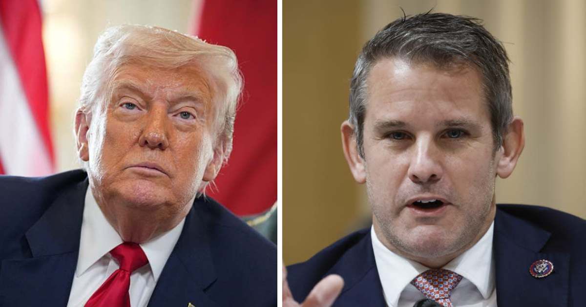 Adam Kinzinger has been taking aim at Donald Trump almost daily since last year, repeatedly criticizing what he says the president represents (Getty Images)