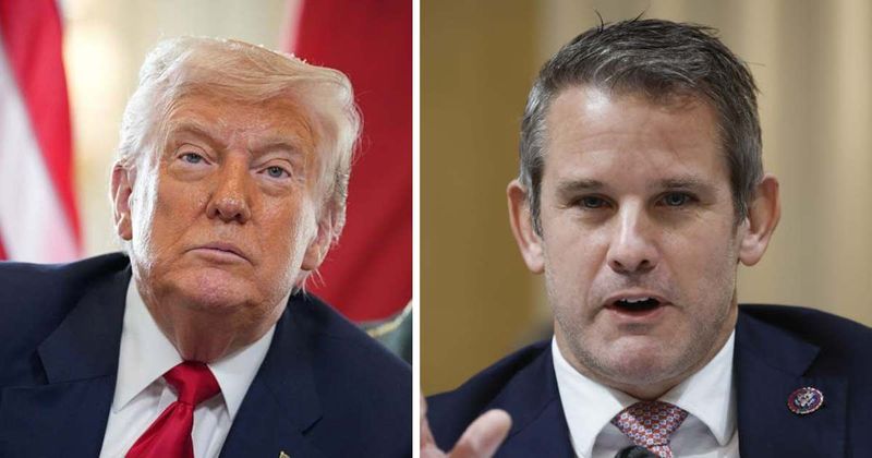 'Trump's name will be like Jeffrey Dahmer's': Adam Kinzinger makes explosive three-year prediction