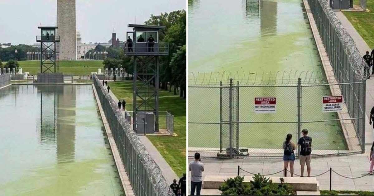 Viral photo claims to show barbed wire fences and watch towers around the Reflecting Pool (Ray Romaniello/Facebook)