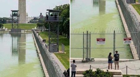 Fact Check: Is photo of barbed wire fencing, guard towers around Reflecting Pool real?