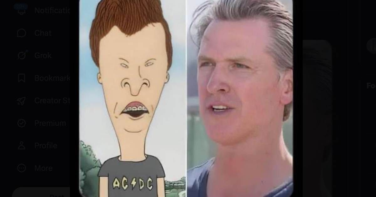 Gavin Newsom told Elon Musk it was 'time to cough up' after the billionaire mocked his tax proposal with a Butt-Head meme (@ElonMusk/X)