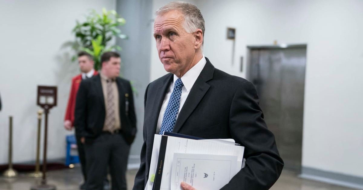 Sen Thom Tillis urged Republicans to campaign on policy achievements and warn of Democratic socialists' growing influence (Getty Images)