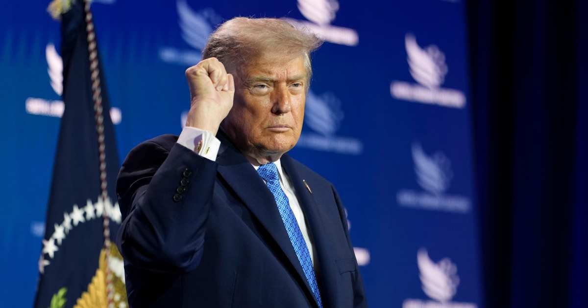 Viral posts claim President Donald Trump plans to install 47 maple trees in Lafayette Square to symbolize his presidency (AP Photo/Julia Demaree Nikhinson)