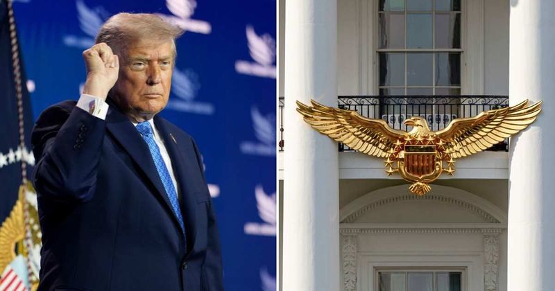 Fact Check: Did Trump reveal he used AI WH Golden Eagle image because the real one was stolen?
