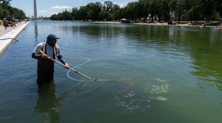 Former Olympian David Hearn indicted over alleged Reflecting Pool damage