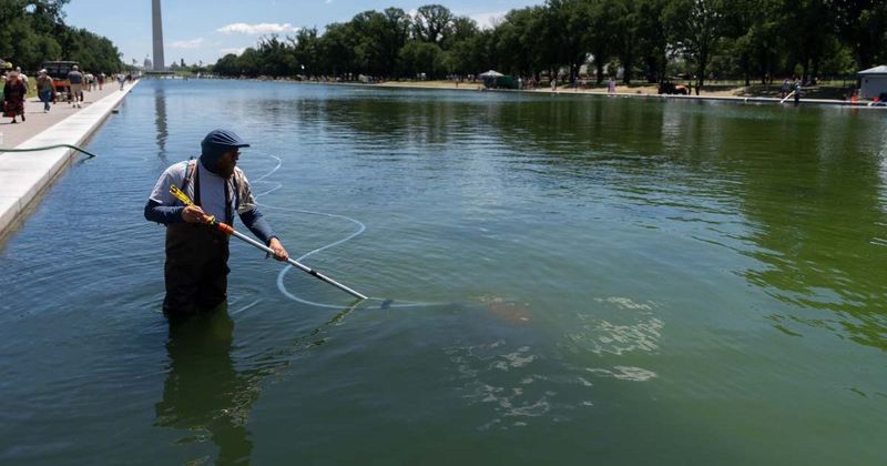 Former Olympian David Hearn indicted over alleged Reflecting Pool damage