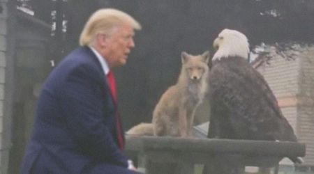 Fact Check: Is the viral photo of Trump with a bald eagle and a fox real?