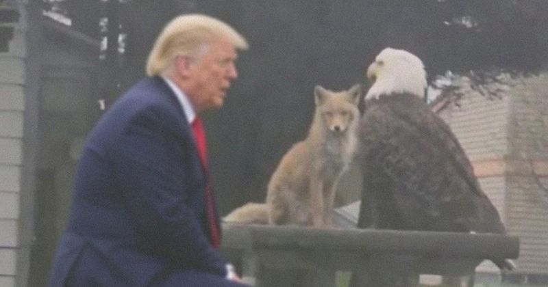 Fact Check: Is the viral photo of Trump with a bald eagle and a fox real?