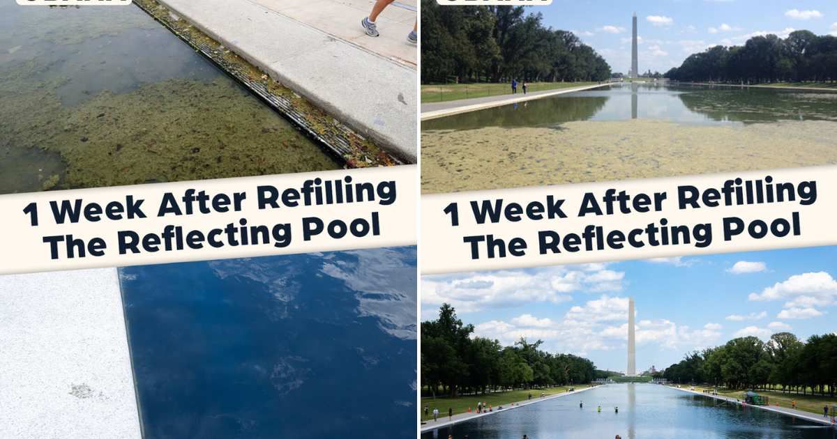 President Donald Trump shared before-and-after Reflecting Pool photos, comparing an Obama-era image with the restored landmark (@realDonaldTrump/Truth Social)