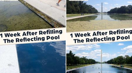 Trump flaunts Reflecting Pool makeover, contrasts 'filthy' Obama-era image with post-renovation shot