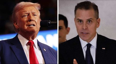 Hunter Biden likens Trump to King George, says US is becoming a 'family business'