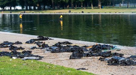 Fact Check: Are viral photos of trash at Reflecting Pool after July 4 real?