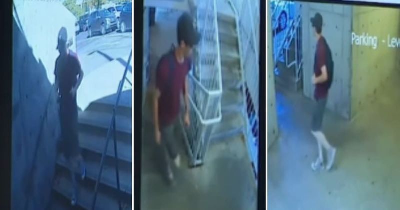 Bombshell video reveals alleged Charlie Kirk gunman’s step-by-step campus hunt and brazen escape