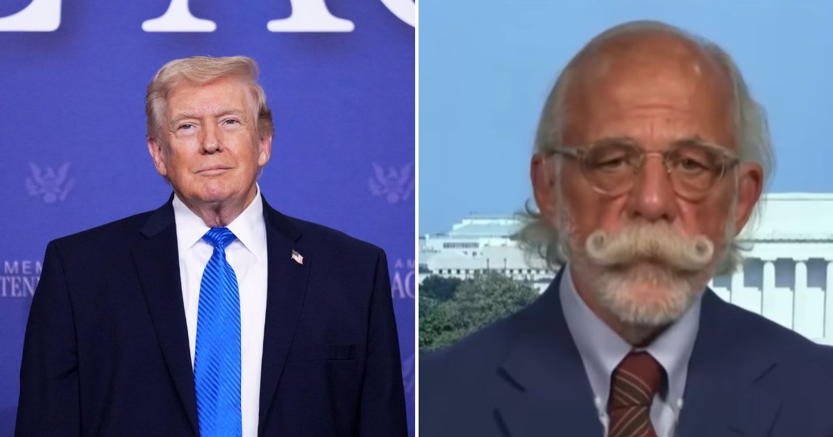 Former Trump lawyer Ty Cobb warned the president's firing of the remaining EAC members threatened the agency's impartiality (AP, Screenshot/@MSNow/YouTube)