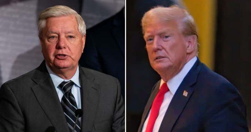 Fact Check: Did Trump share photo of Lindsey Graham holding apology banner?
