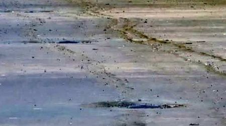 Fact Check: Did Trump's motorcade leave tire tracks in Reflecting Pool?