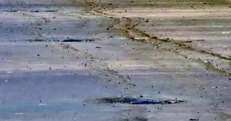 Fact Check: Did Trump's motorcade leave tire tracks in Reflecting Pool?