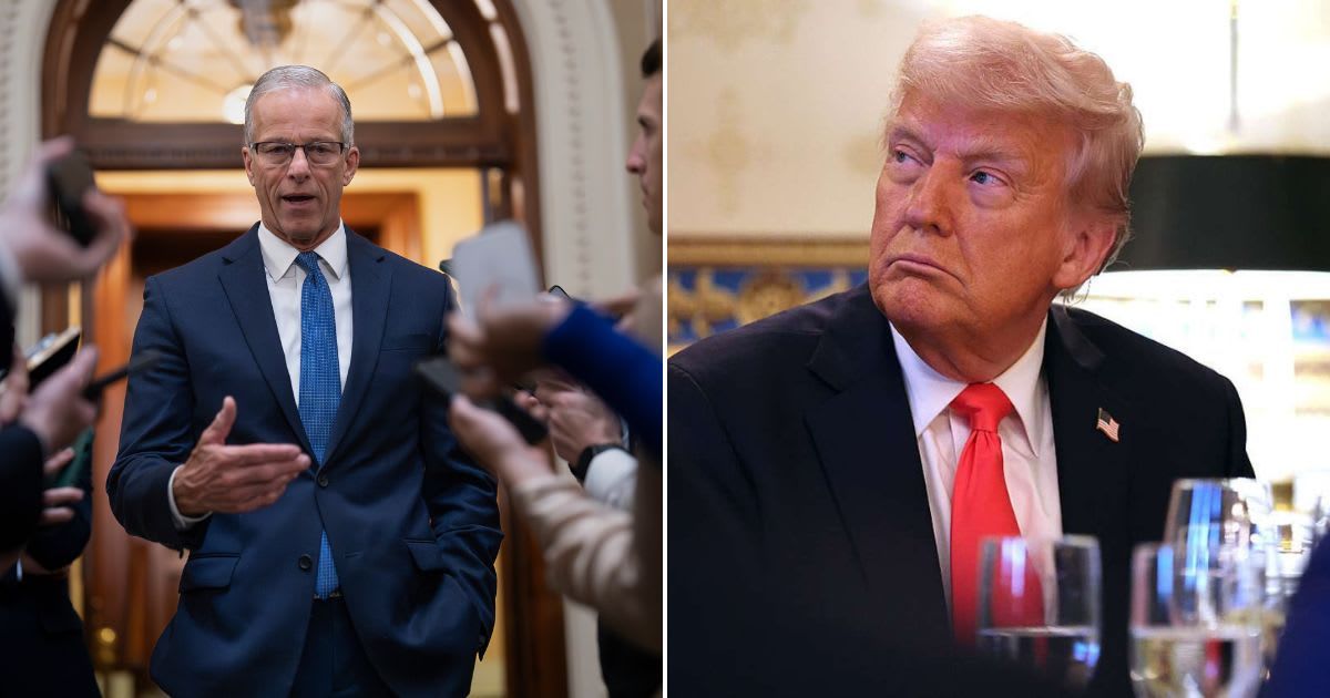 President Donald Trump's top legislative priority, the SAVE America Act, gained momentum after Senate Majority Leader John Thune said Republicans finally had a strategy to advance it (AP Photo/J Scott Applewhite, Getty Images)