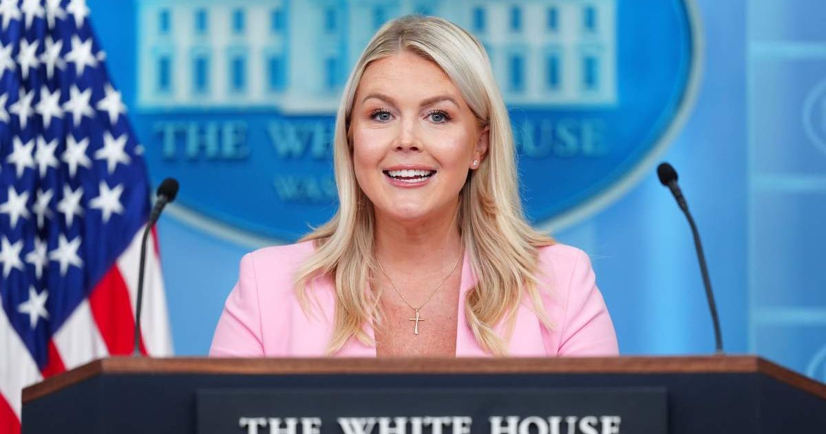 At her latest briefing, Press Secretary Karoline Leavitt said secure, fair elections were essential to preserving the nation's democracy and constitutional republic (AP Photo/Julia Demaree Nikhinson)