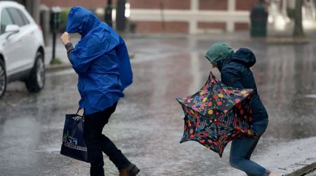 Viral videos show flooded NYC streets, stranded cars as flash flood warning grips city
