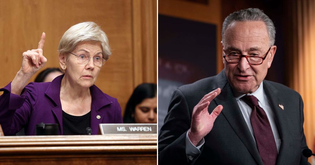 Sen Elizabeth Warren endorsed Abdul El-Sayed in Michigan's Senate primary, while Chuck Schumer backed Rep Haley Stevens (Getty Images)