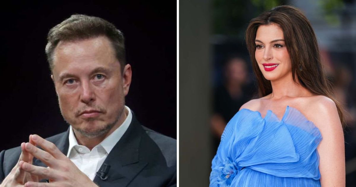 Elon Musk criticized Anne Hathaway's resurfaced equality speech on X, calling it scripted and adding that she has a 'little bird brain' (Getty Images, Scott A Garfitt/Invision/AP)