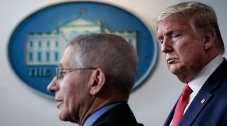 MSNOW analyst warns Fauci's Fifth Amendment strategy could shield Trump officials too