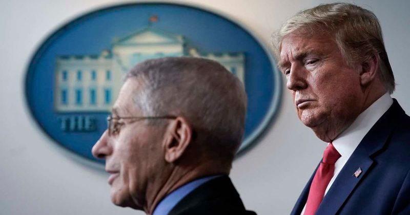 MSNOW analyst warns Fauci's Fifth Amendment strategy could shield Trump officials too