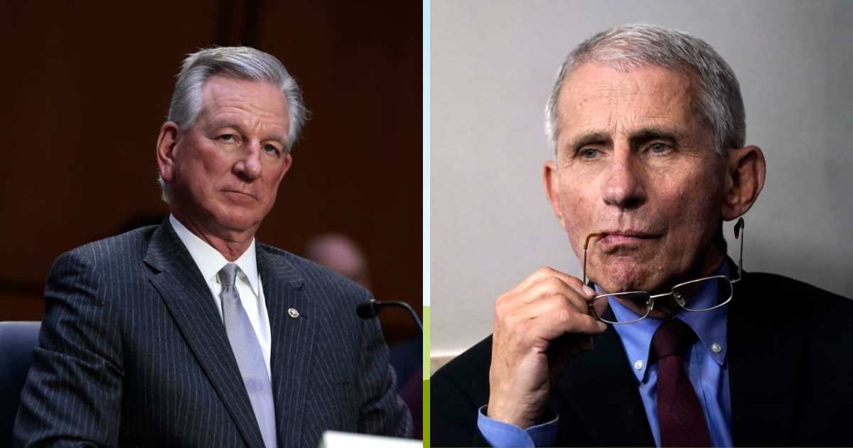 Republican Senator Tommy Tuberville accused Dr Anthony Fauci of misleading President Donald Trump during the pandemic (Getty Images)