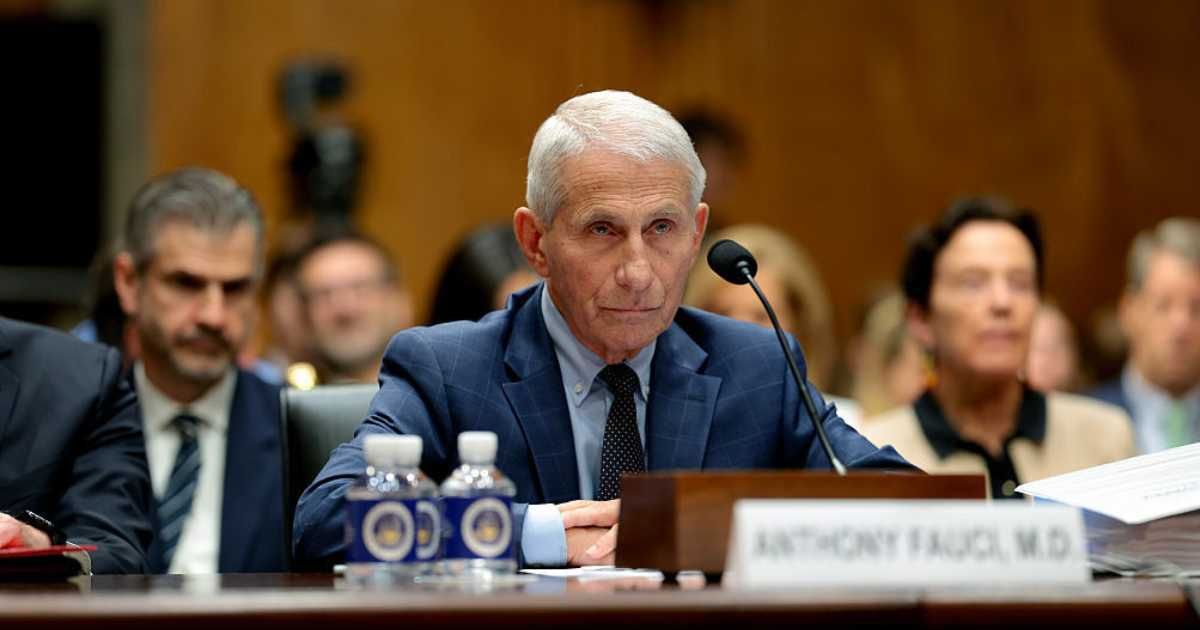 Former National Institute of Allergy and Infectious Diseases (NIAID) Director Dr Anthony Fauci appeared before the Senate Homeland Security Committee on July 29 (Anna Moneymaker/ Getty Images)