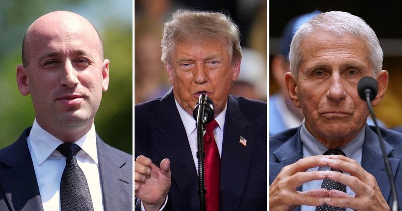 Miller rejects claims Anthony Fauci was 'Trump's guy' on Covid policies: 'POTUS questioned origins'