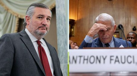 'America's most damaging bureaucrat': Ted Cruz unloads on Fauci after dramatic Senate hearing