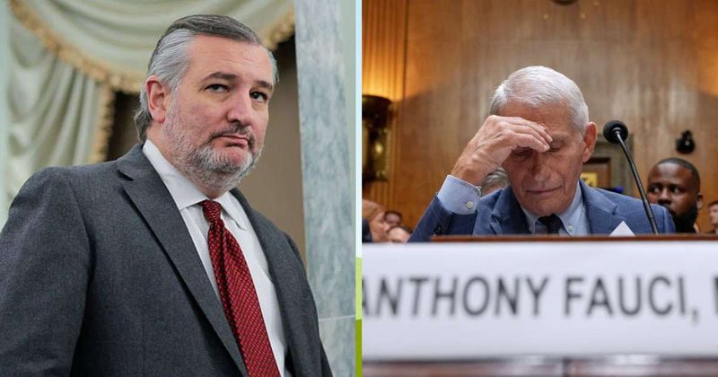 'America's most damaging bureaucrat': Ted Cruz unloads on Fauci after dramatic Senate hearing