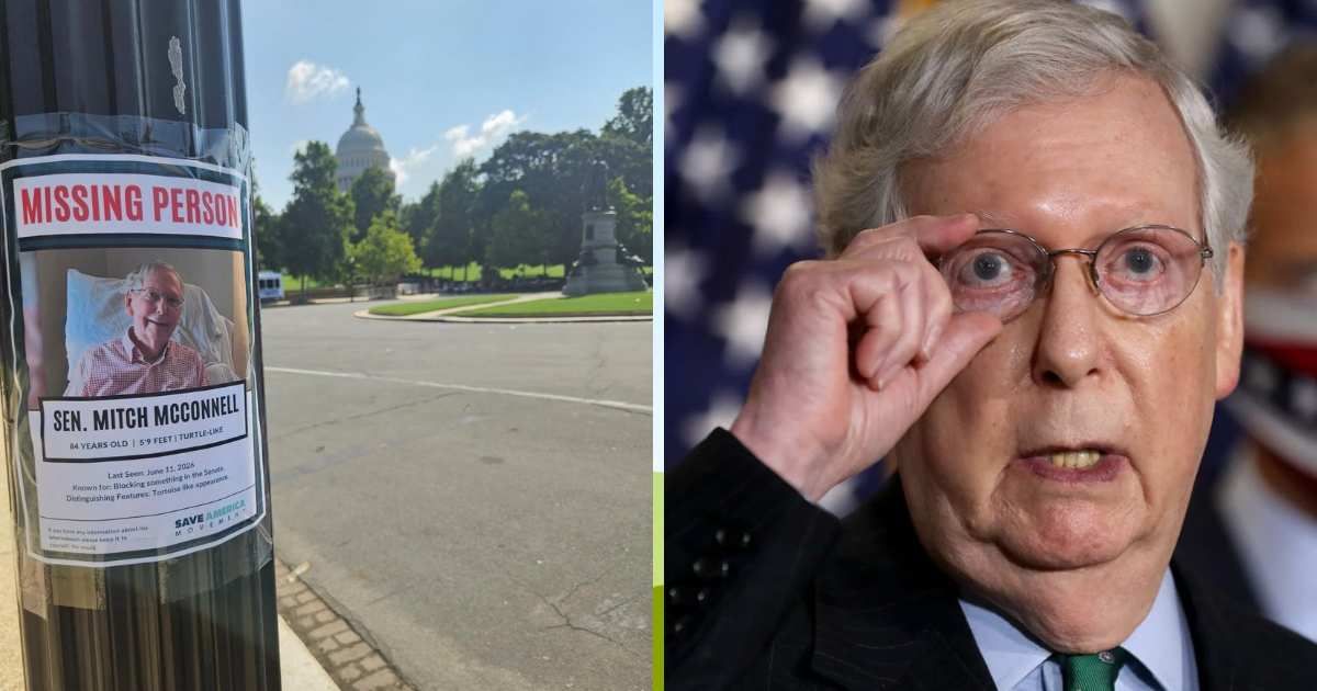 The Save America Movement claimed responsibility for the campaign, saying the flyers were meant to highlight Senator Mitch McConnell's lack of public accountability (Save America Movement, Getty Images)