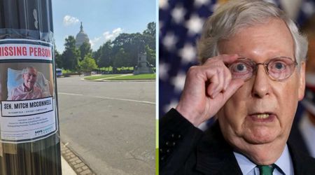 '84 years old, 5'9 feet, turtle-like': Mitch McConnell targeted in bizarre Washington stunt