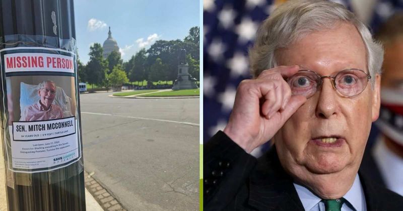 '84 years old, 5'9 feet, turtle-like': Mitch McConnell targeted in bizarre Washington stunt