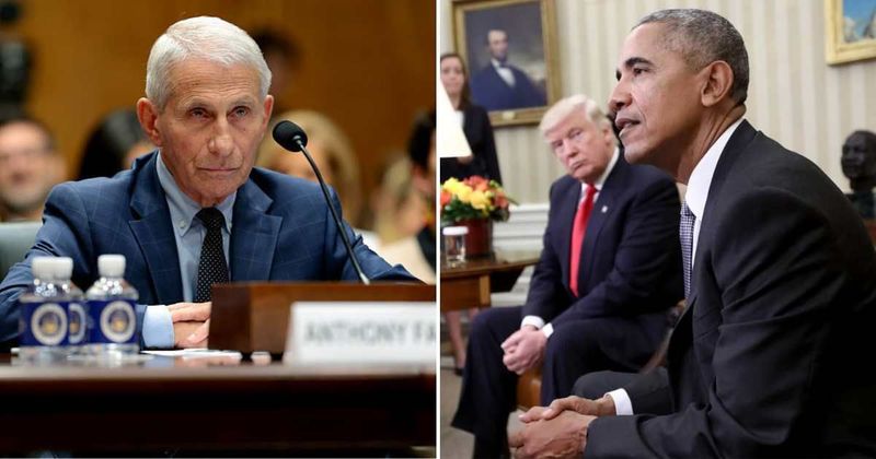 Obama privately called Trump a 'hopeless idiot,' Donald Jr a 'moron' in Fauci diary entry