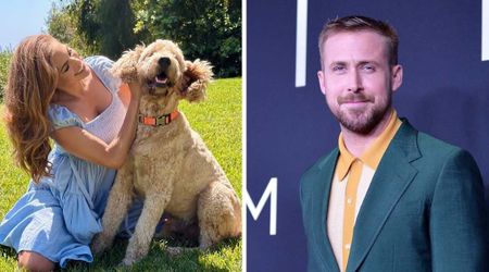 Ryan Gosling and Eva Mendes welcome adorable new rescue dog to family after 'Ghost Rider' reveal