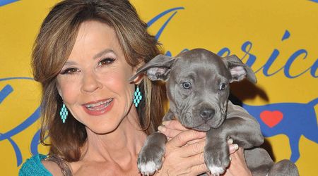 Linda Blair's home searched as authorities investigate reported kennel operation