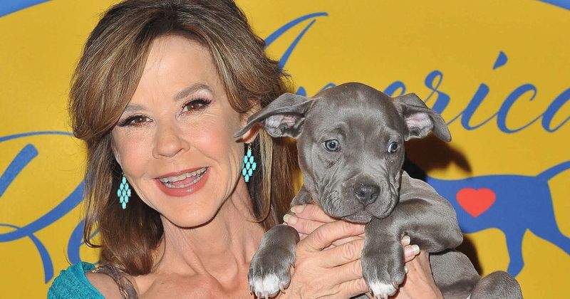 Linda Blair's home searched as authorities investigate reported kennel operation