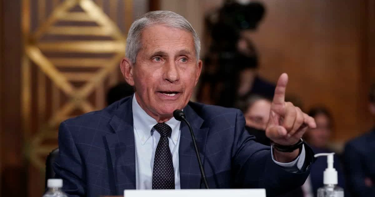 After Dr Anthony Fauci's Senate hearing, a viral rumor claimed he was considering legal action against critics over Covid-19 (Getty Images)