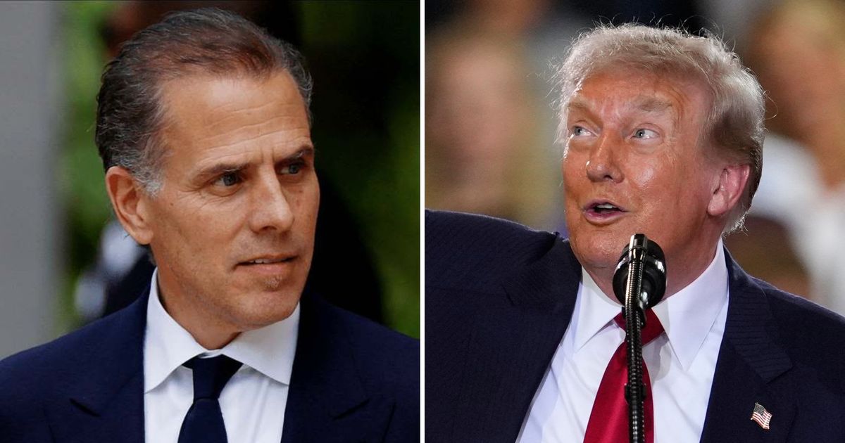 Hunter Biden used AI to compile a list of 'lies' Donald Trump has told over the past 24 months (Getty Images, AP Photo
