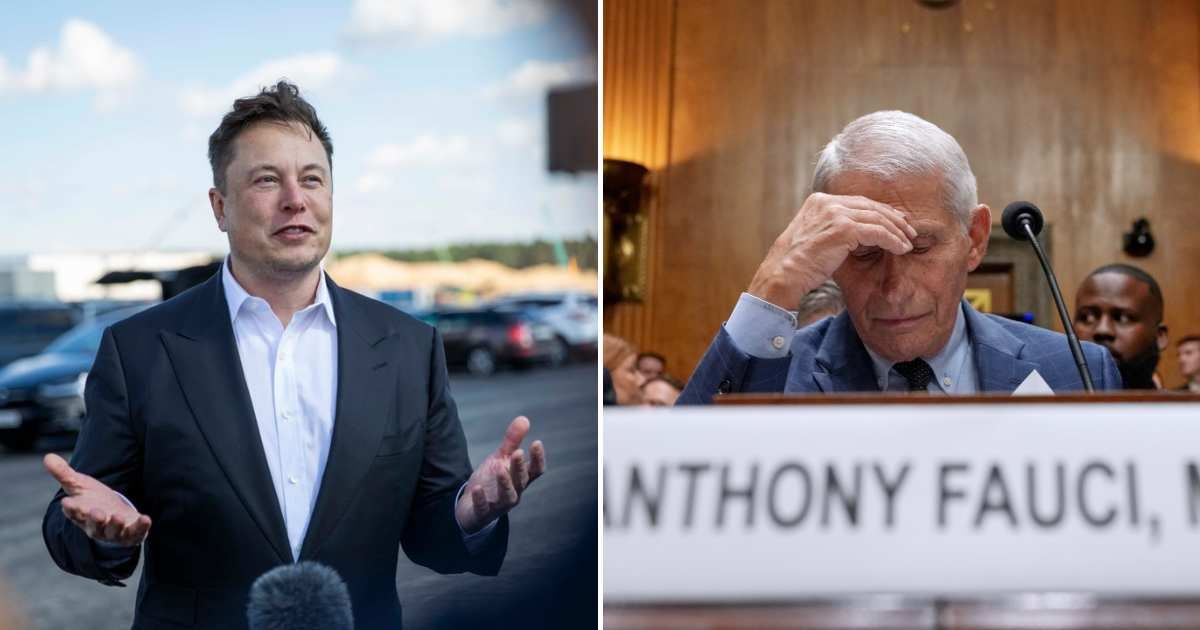 A social media rumor claims that Elon Musk bought Anthony Fauci's house and is evicting him (Getty Images, AP Photo)